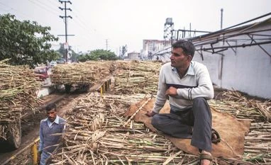 Talking stock: Will sugar turn sweeter in coming year as supply stabilises? After months of uncertainty, the sugar sector is once again looking up. Thanks to a revision in the production estimates in the current season and a positive outlook for the forthcoming one that will start in October, the sugar supply situation looks