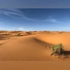 UN desertification talks end without agreement to combat droughts Sahara Desert