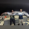 Rare ‘doomsday fish' caught by fishermen