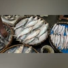 India misses marine export target by over ₹37,000 crore under PMMSY Fish, Fish market, Sea food