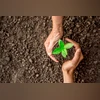 Save Earth, Plant, Trust