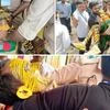Tiger Robi, Bangladeshi fan