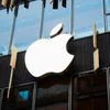 apple, apple logo