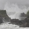 Typhoon Krathon, Krathon, Typhoon, Taiwan Typhoon