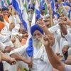 Farmers Protest, Protest, Farmer Protest