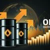 Oil price, oil, crude oil, oil container, oil export