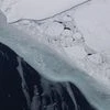 Antarctic sea ice