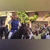 Haryana sidelights: MP rides horse, groom delays wedding to cast vote | Haryana Elections News Naveen Jindal