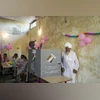 vote, election, voting, Voter, Haryana Election