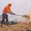 This has led to incidents of stubble burning, as the farmers burn the paddy residue to sow wheat. Unlike previous years, the number of stubble burning incidents has reduced considerably this year. From the onset of the stubble burning season (widely