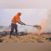 This has led to incidents of stubble burning, as the farmers burn the paddy residue to sow wheat. Unlike previous years, the number of stubble burning incidents has reduced considerably this year. From the onset of the stubble burning season (widely This has led to incidents of stubble burning, as the farmers burn the paddy residue to sow wheat. Unlike previous years, the number of stubble burning incidents has reduced considerably this year. From the onset of the stubble burning season (widely