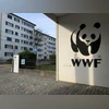 Monitored wildlife populations plunged 73% in 50 years: WWF report wwf, world wildlifr fund