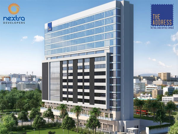 Tennis player James Blake