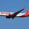 Spicejet