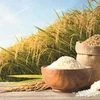 rice