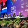 COP16