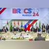BRICS Summit, BRICS