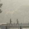 Pollution