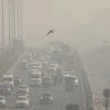 Pollution