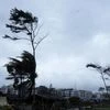 Cyclone Dana, Cyclone, Dana