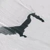 Nasa sat clicks stunning 'Sea Smoke' over Antarctic Glacier