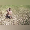 Droughts across India's rivers occurring in sync amid climate change: Study Climate change drought, famine
