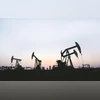 Oil India Q4 results: Profit drops 39% to ₹1,310 cr on lower crude prices | Markets News - Business Standard