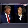 News influencers favoured Trump over Harris during campaign, shows study Kamala Harris, Kamala, Harris, Donald Trump, Trump, US Election