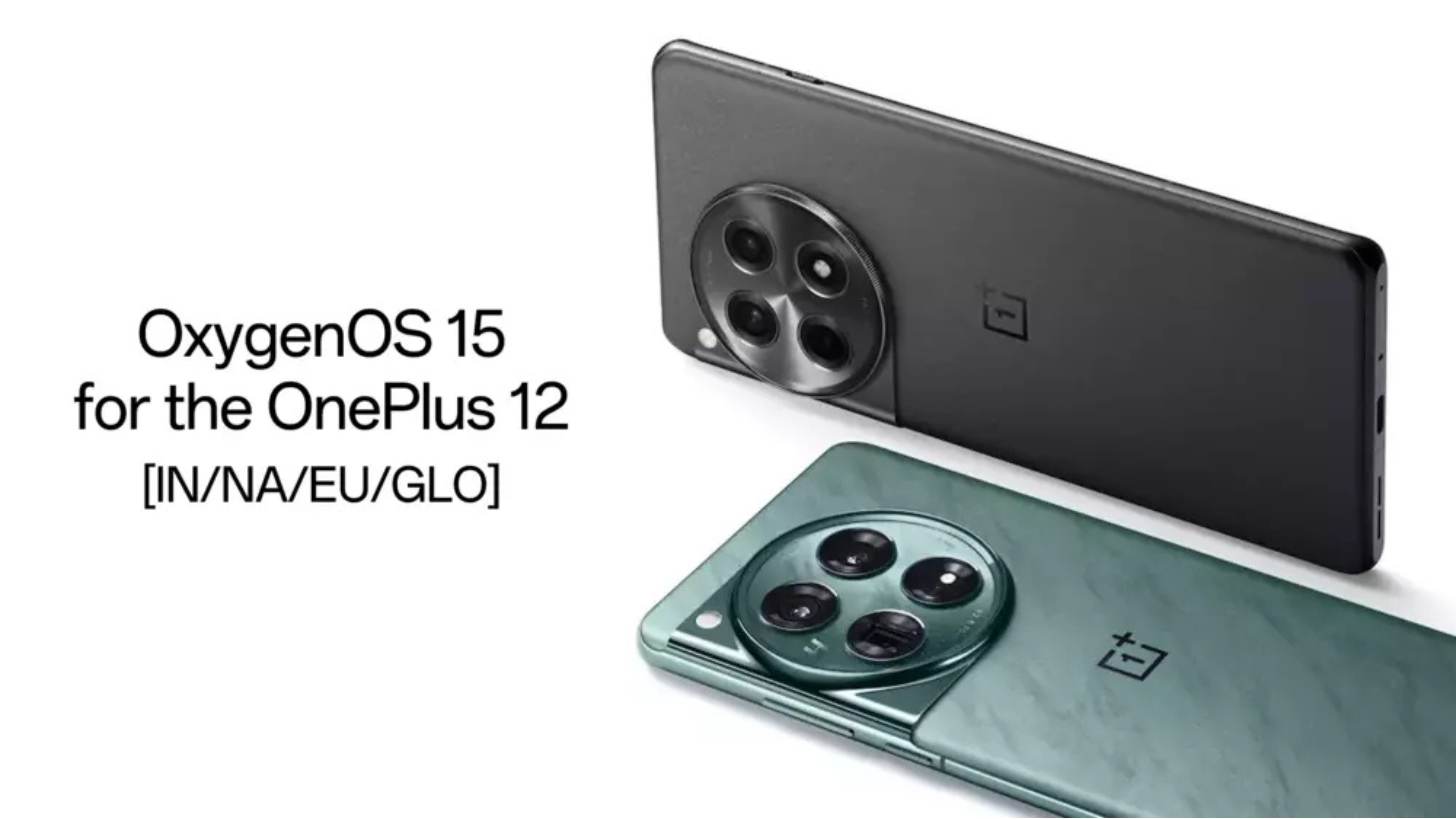 OnePlus 12 users in India get Android 15 with OxygenOS 15 update