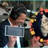 Wasim Akram's cat grooming tale
