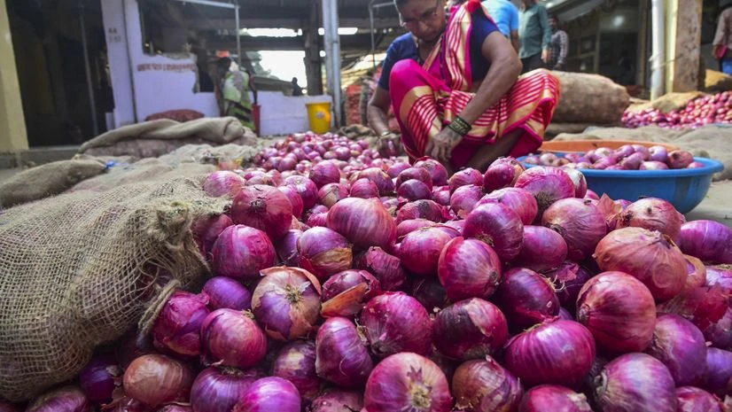 onion, onions onion, onions