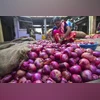 5th shipment of 720-tonnes of buffer onion to reach Delhi on Nov 21: Govt onion, onions