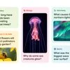 Google launches AI-powered 'Learn About' companion for educational research