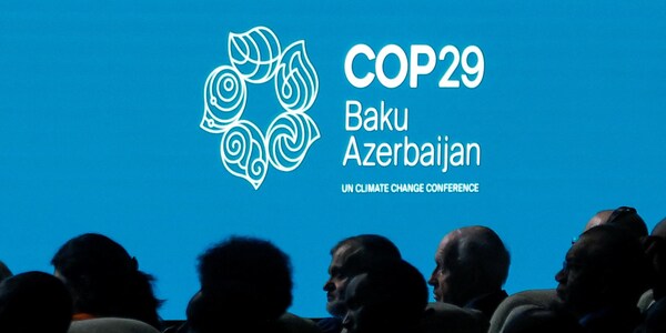 COP29 climate agreement a boost for India's carbon market ambitions