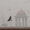 Fog, New Delhi Fog
