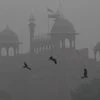 Fog, New Delhi Fog