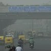 Delhi's air pollution takes centre stage at COP29, experts call for action