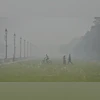 Pollution, New Delhi Pollution New Delhi: Visitors at the lawns of Kartavya Path amid smog, in New Delhi, Friday, Nov 15, 2024. (Photo: PTI)