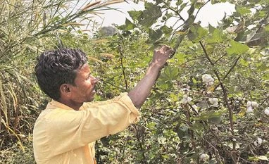 Better pricing for farm produce on election agenda for Maharashtra farmers farmer