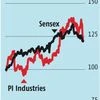 Domestic and pharma businesses, lower guidance to weigh on PI Industries