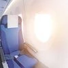 flight
