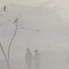 Pollution, Gurugram Pollution