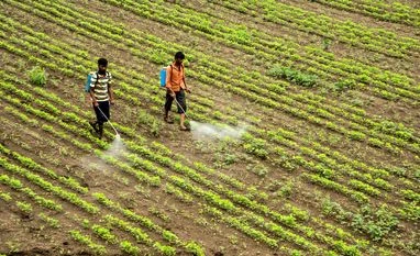 UPL-SAS sees tech, climate solutions for growth after $200 mn investment Farmers, Farmer, agriculture