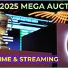 IPL 2025 mega auction