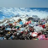 A timely wake-up call: India must urgently address plastic pollution
