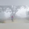 Fog, West Bengal fog Fog, West Bengal fog