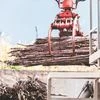 As ethanol emerges as a source of alternative revenue for sugar companies due to differential pricing formulas and fixed buying by oil marketing companies, bio-plastics or Polylactic Acid (PLA)-based plastics are also gradually becoming a new avenue