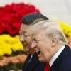 Trump, Jinping, Donald Trump, Xi Jinping