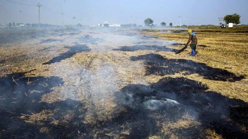 Stubble Burning, Stubble Stubble Burning, Stubble