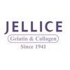 Madurai-based Pioneer Jellice India